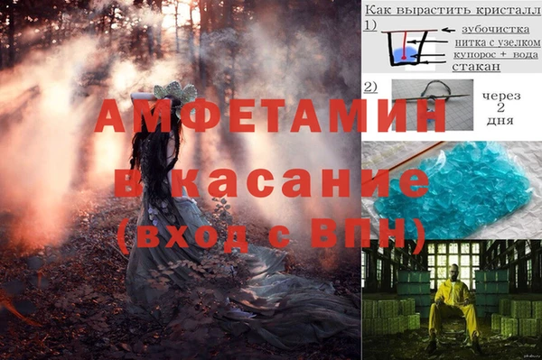 трава Ладушкин